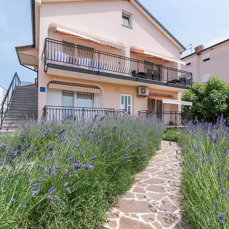 Masha * Novigrad (Istria)